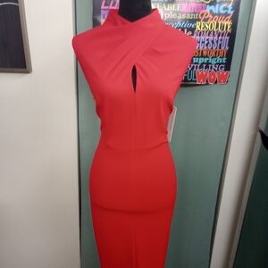 Regal Red Calvin Klein Dress